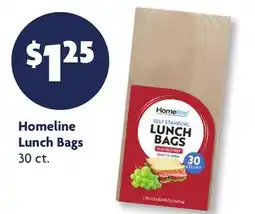 Family Dollar Homeline Lunch Bags offer