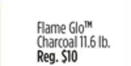 Dollar General Flame Glo TM Charcoal offer