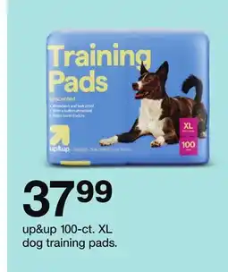 Target up & up 100-ct. XL dog training pads offer