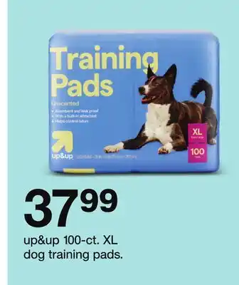 Target up & up 100-ct. XL dog training pads offer