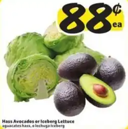 Fresco y Más Hass Avocados or Iceberg Lettuce offer