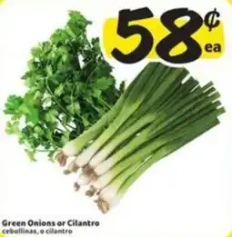 Fresco y Más Green Onions or Cilantro offer