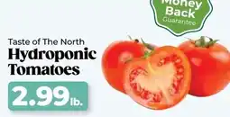 Roche Bros Taste of the north hydroponic tomatoes offer