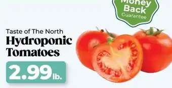 Roche Bros Taste of the north hydroponic tomatoes offer