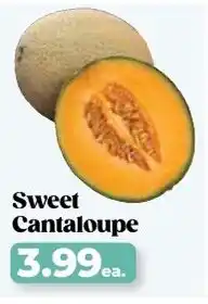 Roche Bros Sweet cantaloupe offer