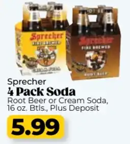 Roche Bros Sprecher soda offer