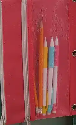 Family Dollar 3-Ring Zipper Pouch offer