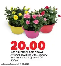 Hy-Vee Rose summer color bowl offer
