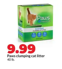 Hy-Vee Paws clumping cat litter offer