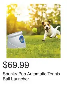 Costco Spunky Pup Automatic Tennis Ball Launcher offer