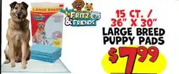 Ollie's FRITZ & FRIENDS LARGE BREED PUPPY PADS offer