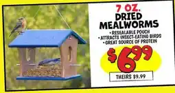 Ollie's 7 OZ. DRIED MEALWORMS offer