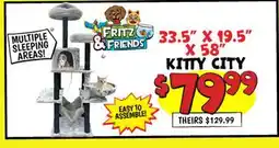 Ollie's FRITZ & FRIENDS KITTY CITY offer