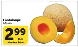 Albertsons Cantaloupe offer