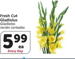 Albertsons Fresh Cut Gladiolus offer