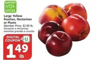 Albertsons Large Yellow Peaches, Nectarines or Plums offer