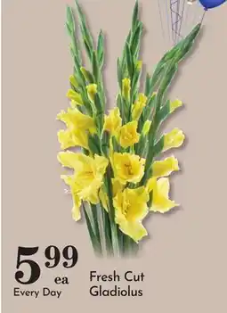 Pavilions Fresh Cut Gladiolus offer
