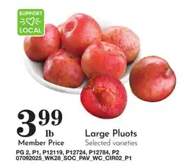 Pavilions Large Pluots offer