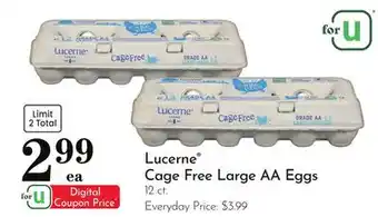 Pavilions Lucerne Cage Free Large AA Eggs offer