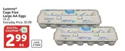 Vons Lucerne Cage Free Large AA Eggs offer