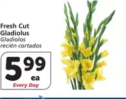 Vons Fresh Cut Gladiolus offer