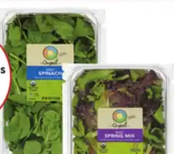 Stater Bros Full Circle Market Salad Blends offer