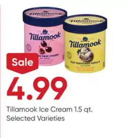 Stater Bros Tillamook Ice Cream offer