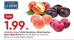Stater Bros California Grown White Nectarines, White Peaches, Red or Black Plums offer