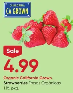 Stater Bros Strawberries offer