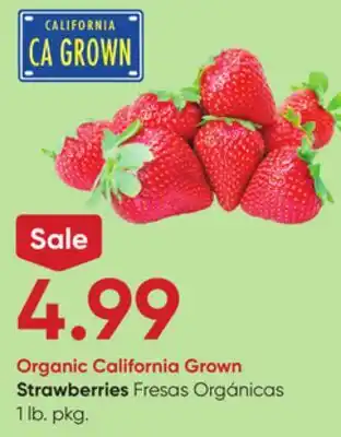 Stater Bros Strawberries offer