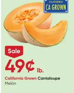 Stater Bros Cantaloupe offer