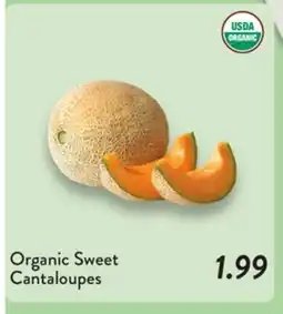 Fresh Thyme Organic Sweet Cantaloupes offer
