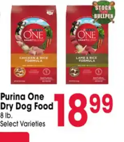 Jewel-Osco Purina One Dry Dog Food offer
