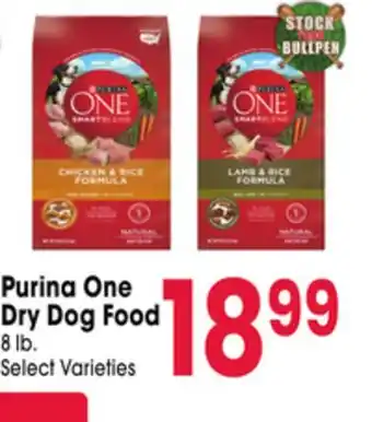 Jewel-Osco Purina One Dry Dog Food offer