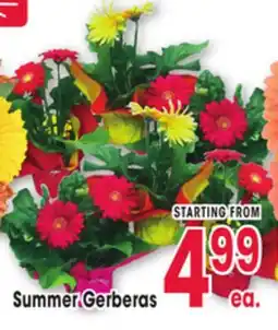 Jewel-Osco Summer Gerberas offer