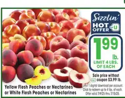 Jewel-Osco Yellow Flesh Peaches or Nectarines or White Flesh Peaches or Nectarines offer