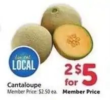 Safeway Cantaloupe offer