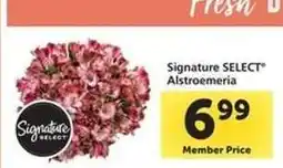 Safeway Signature Select Alstroemeria offer