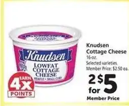 Safeway Knudsen Cottage Cheese offer