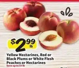 Winn Dixie Yellow Nectarines, Red or Black Plums or White Flesh Peaches or Nectarines offer