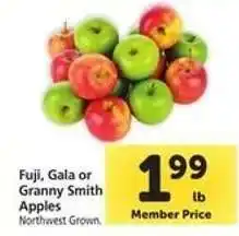 Safeway Fuji, Gala or Granny Smith Apples offer