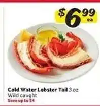 Winn Dixie Cold Water Lobster Tail offer