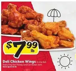 Winn Dixie Deli Chicken Wings offer