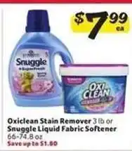 Winn Dixie Oxiclean Stain Remover or Snuggle Liquid Fabric Softener offer