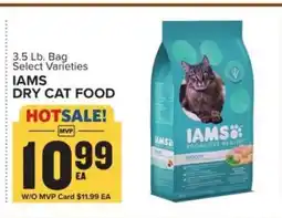 Food Lion Iams Dry Cat Food offer