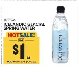 Food Lion Icelandic Glacial Spring Water offer