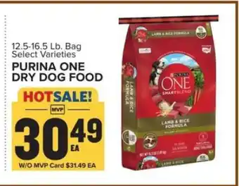 Food Lion Purina ONE Dry Dog Food offer