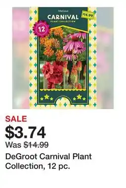 Tractor Supply Company DeGroot Carnival Plant Collection, 12 pc offer