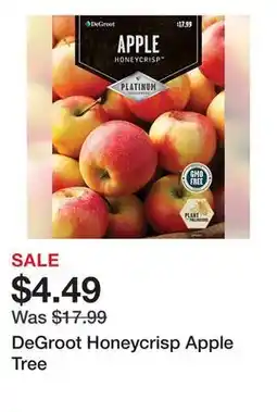 Tractor Supply Company DeGroot Honeycrisp Apple Tree offer