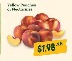 Sprouts Farmers Market Yellow Peaches or Nectarines offer